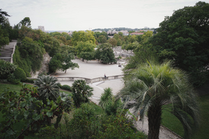Enlèvement arbre urgence Nîmes